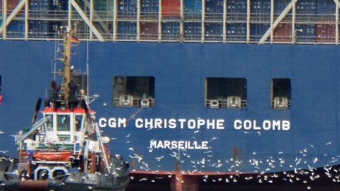SCHNACKFRISCH! – Containerriese Christophe Colomb