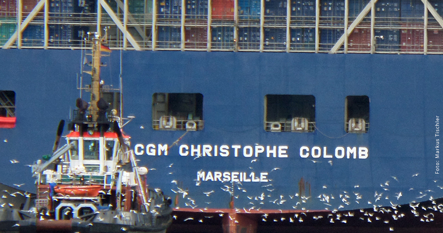 Ein Möwenschwar begleitet die Christophe Colomb beim Einlaufen in den Hamburger Hafen.